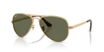 Rayban RB3925 001/58 แว่นกันแดดอะริสต้า-เขียวโพลาไรซ์ สำหรับทุกเพศ