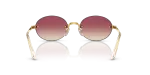 Rayban RB3929 001/8H ขาแว่นด้านใน