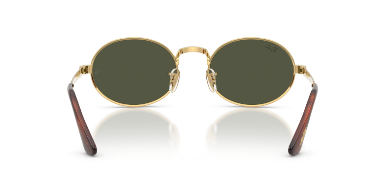 Rayban RB3931 001/31 ขาแว่นด้านใน