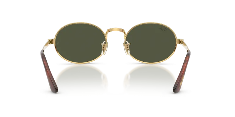 Rayban RB3931 001/31 ขาแว่นด้านใน
