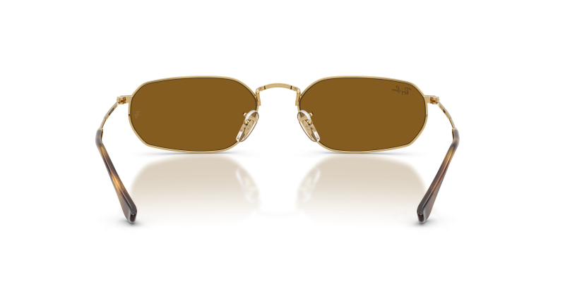 Rayban RB3947 001/33 ขาแว่นด้านใน