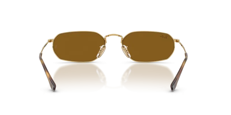 Rayban RB3947 001/33 ขาแว่นด้านใน