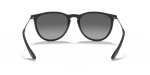 Rayban Erika RB4171F 622/T3 ขาแว่นด้านใน