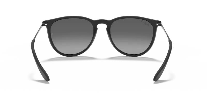Rayban Erika RB4171F 622/T3 ขาแว่นด้านใน