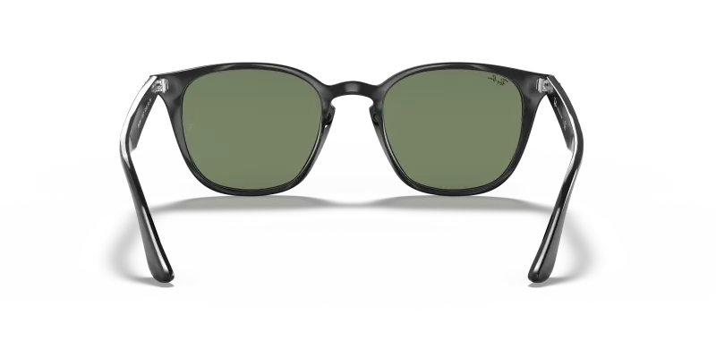 Rayban RB4258F 601/71 ขาแว่นด้านใน