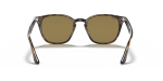 แว่นกันแดด Rayban RB4258F-710/73 Light Havana Dark Brown Rayban RB4258F 710/73 ขาแว่นด้านใน