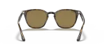 Rayban RB4258F 710/73 ขาแว่นด้านใน