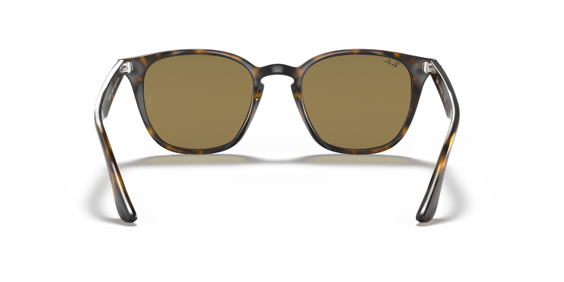 Rayban RB4258F 710/73 ขาแว่นด้านใน