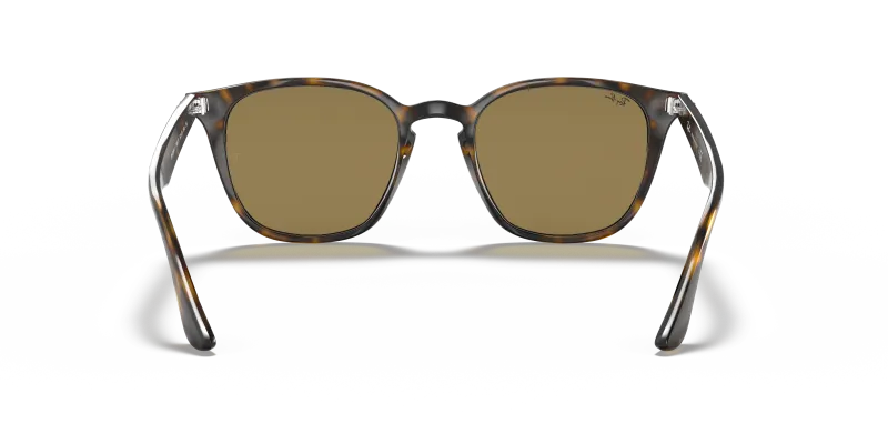 Rayban RB4258F 710/73 ขาแว่นด้านใน