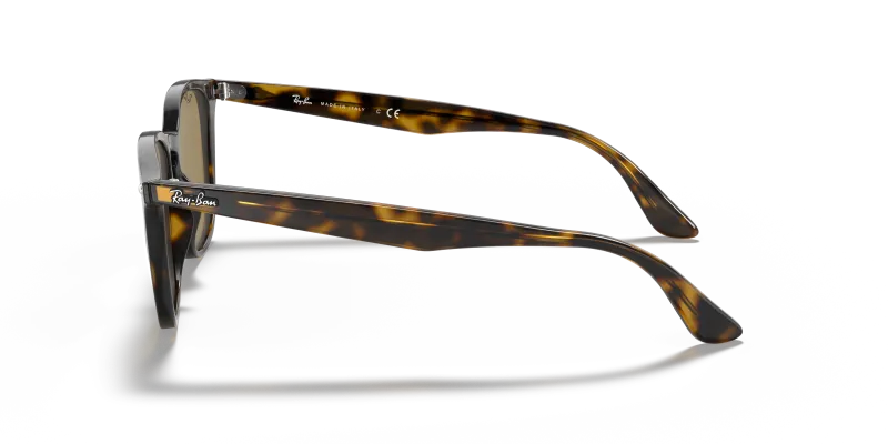 แว่นกันแดด Rayban RB4258F 710/73 มุมข้าง ขาแว่นลายเต่าฮาวานา