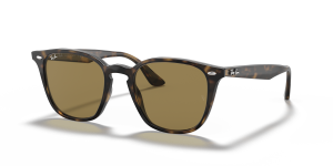 Rayban RB4258F 710/73 แว่นกันแดดลายเต่าฮาวานาอ่อน ทั้งสองเพศ