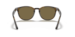 แว่นกันแดด Rayban RB4259F-710/73 Light Havana Dark Brown Rayban RB4259F 710/73 ขาแว่นด้านใน