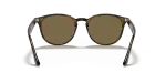 แว่นกันแดด Rayban RB4259F-710/73 Light Havana Dark Brown Rayban RB4259F 710/73 ขาแว่นด้านใน