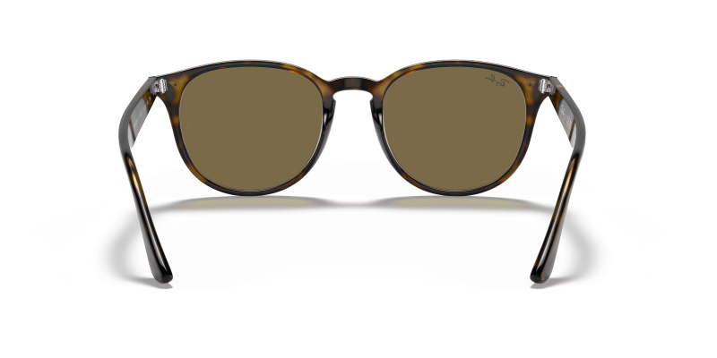 Rayban RB4259F 710/73 ขาแว่นด้านใน