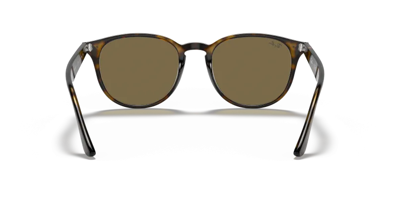 Rayban RB4259F 710/73 ขาแว่นด้านใน