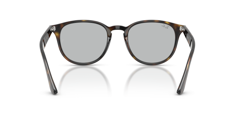 Rayban RB4259F 710/87 ขาแว่นด้านใน