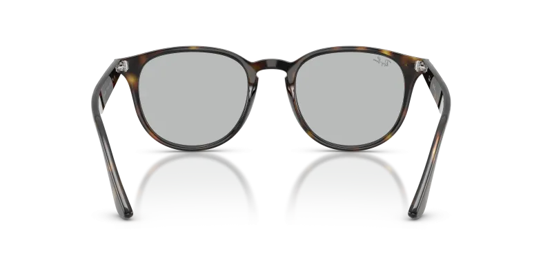 Rayban RB4259F 710/87 ขาแว่นด้านใน