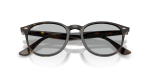 แว่นกันแดด Rayban RB4259F-710/87 Light Havana Light Grey Rayban RB4259F 710/87 close-up ด้านหน้า