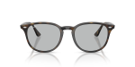 แว่นกันแดด Rayban RB4259F-710/87 Light Havana Light Grey Rayban RB4259F 710/87 ด้านหน้า