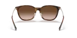 แว่นกันแดด Rayban RB4333D-710/13 Light Havana Brown Gradient Rayban RB4333D 710/13 ขาแว่นด้านใน