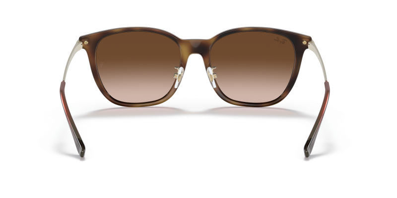 Rayban RB4333D 710/13 ขาแว่นด้านใน