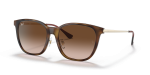 แว่นกันแดด Rayban RB4333D-710/13 Light Havana Brown Gradient Rayban RB4333D 710/13 แว่นกันแดดลายฮาวานาอ่อนขาทอง เลนส์น้ำตาลไล่ระดับ ทั้งสองเพศ