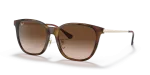 แว่นกันแดด Rayban RB4333D-710/13 Light Havana Brown Gradient Rayban RB4333D 710/13 แว่นกันแดดลายฮาวานาอ่อนขาทอง เลนส์น้ำตาลไล่ระดับ ทั้งสองเพศ