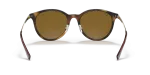 Rayban RB4334D 710/83 ขาแว่นด้านใน