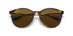 Rayban RB4334D 710/83 close-up ด้านหน้า