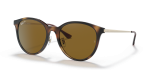 Rayban RB4334D 710/83 แว่นกันแดดทรงสี่เหลี่ยมจัตุรัสฮาวานาอ่อนเลนส์โพลาไรซ์น้ำตาล ทั้งชายและหญิง