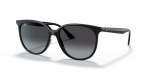 Rayban RB4378F 601/8G แว่นกันแดดเลนส์เทาไล่ระดับ สำหรับผู้หญิง