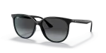 แว่นกันแดด Rayban RB4378F-601/8G Black Grey Gradient Rayban RB4378F 601/8G แว่นกันแดดเลนส์เทาไล่ระดับ สำหรับผู้หญิง