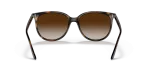 แว่นกันแดด Rayban RB4378F-710/13 Havana Gradient Brown Rayban RB4378F 710/13 ขาแว่นด้านใน