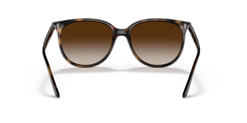 Rayban RB4378F 710/13 ขาแว่นด้านใน