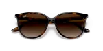 แว่นกันแดด Rayban RB4378F-710/13 Havana Gradient Brown Rayban RB4378F 710/13 close-up ด้านหน้า