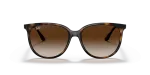 แว่นกันแดด Rayban RB4378F-710/13 Havana Gradient Brown Rayban RB4378F 710/13 ด้านหน้า