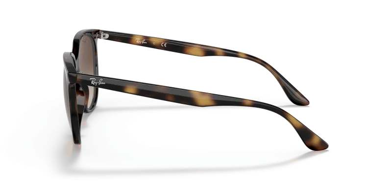 แว่นกันแดด Rayban RB4378F 710/13 มุมข้าง ขาแว่นลายเต่าฮาวานา