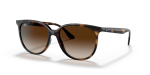 Rayban RB4378F 710/13 แว่นกันแดดฮาวานาลายเต่าเลนส์น้ำตาลไล่ระดับ สำหรับผู้หญิง