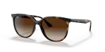 แว่นกันแดด Rayban RB4378F-710/13 Havana Gradient Brown Rayban RB4378F 710/13 แว่นกันแดดฮาวานาลายเต่าเลนส์น้ำตาลไล่ระดับ สำหรับผู้หญิง