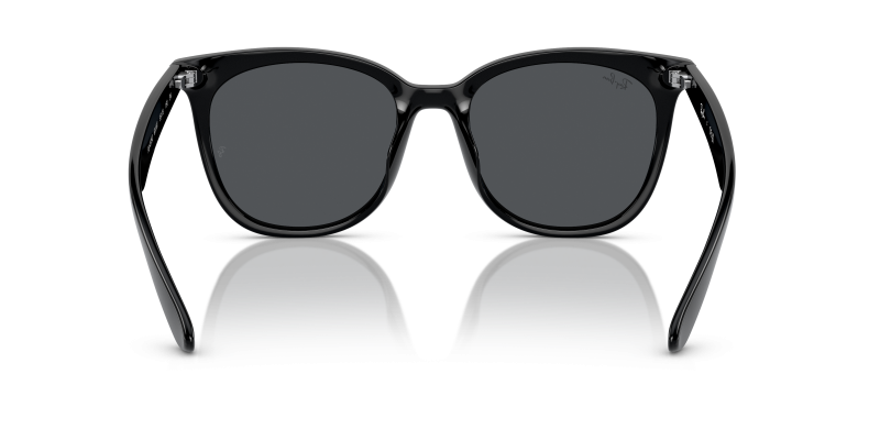 Rayban RB4379D-601/87 601/87 ขาแว่นด้านใน