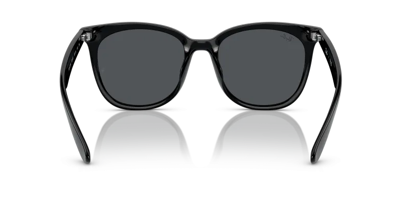 Rayban RB4379D-601/87 601/87 ขาแว่นด้านใน