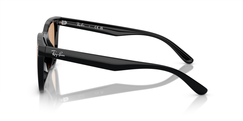 แว่นกันแดด Rayban RB4391D-601/93 601/93 มุมข้าง ทรงสี่เหลี่ยม XL เลนส์น้ำตาลอ่อน