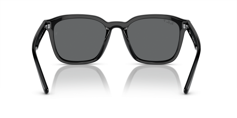 Rayban RB4392D 601/81 ขาแว่นด้านใน