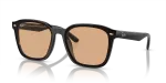 Rayban RB4392D 601/93 แว่นกันแดดสีดำเลนส์น้ำตาล ทรงสี่เหลี่ยม XXL