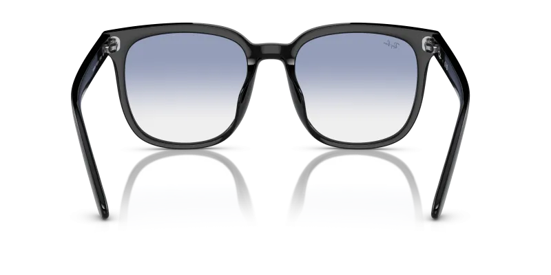 Rayban RB4401D 601/19 ขาแว่นด้านใน