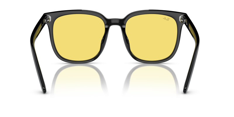 Rayban RB4401D 601/85 ขาแว่นด้านใน