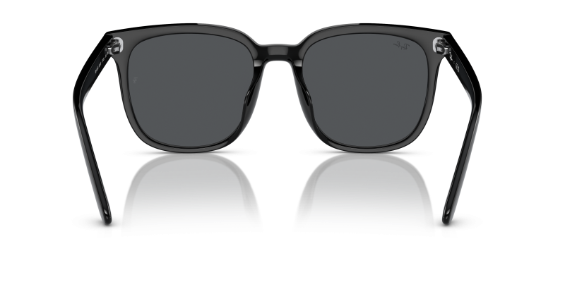 Rayban RB4401D 601/87 ขาแว่นด้านใน