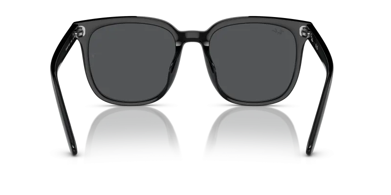 Rayban RB4401D 601/87 ขาแว่นด้านใน