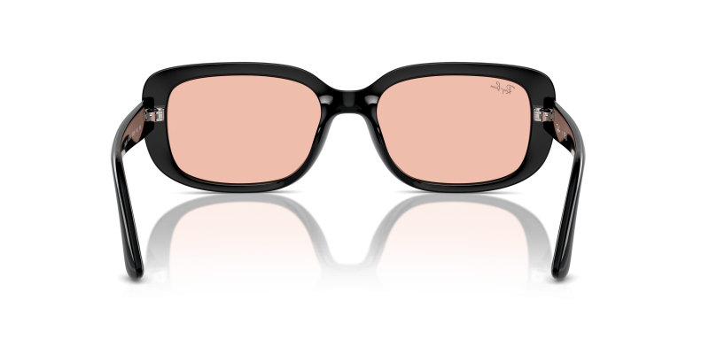 Rayban RB4421D-667784 667784 ขาแว่นด้านใน