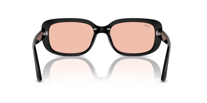 Rayban RB4421D-667784 667784 ขาแว่นด้านใน